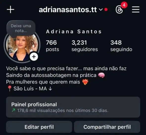 Perfil do Instagram com 3.231 seguidores
